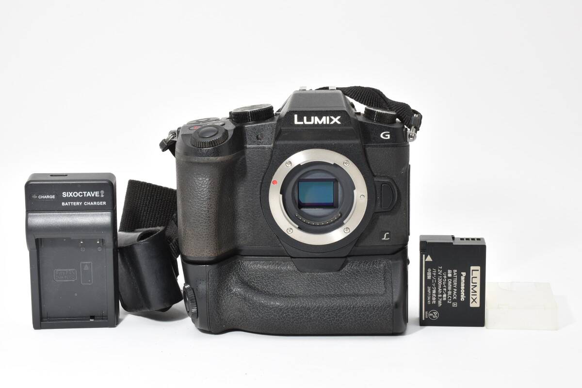 【動作良好品★】Panasonic パナソニック LUMIX ルミックス DMC-G8 #M12537