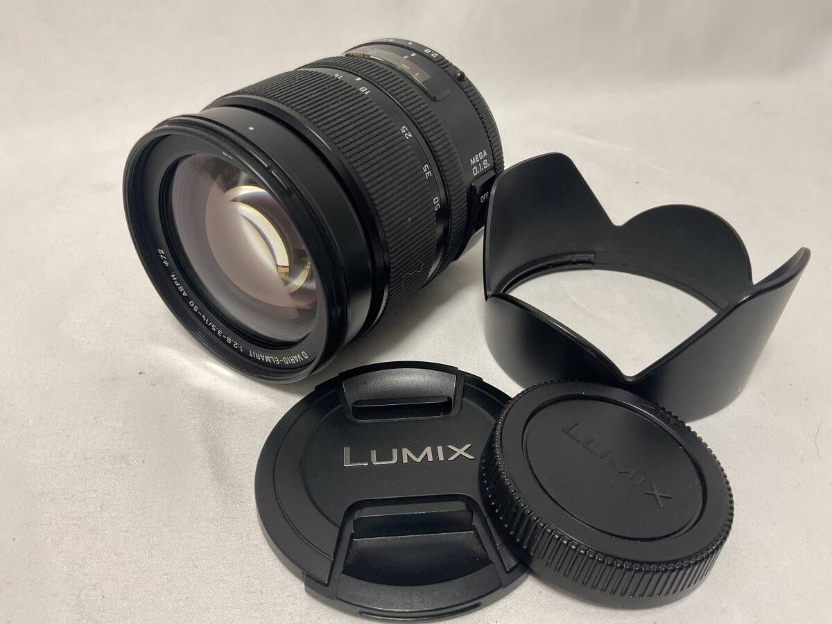 Panasonic LUMIX LEICA D VARIO-ELMARIT 1:2.8-3.5/14-50 中古レンズ