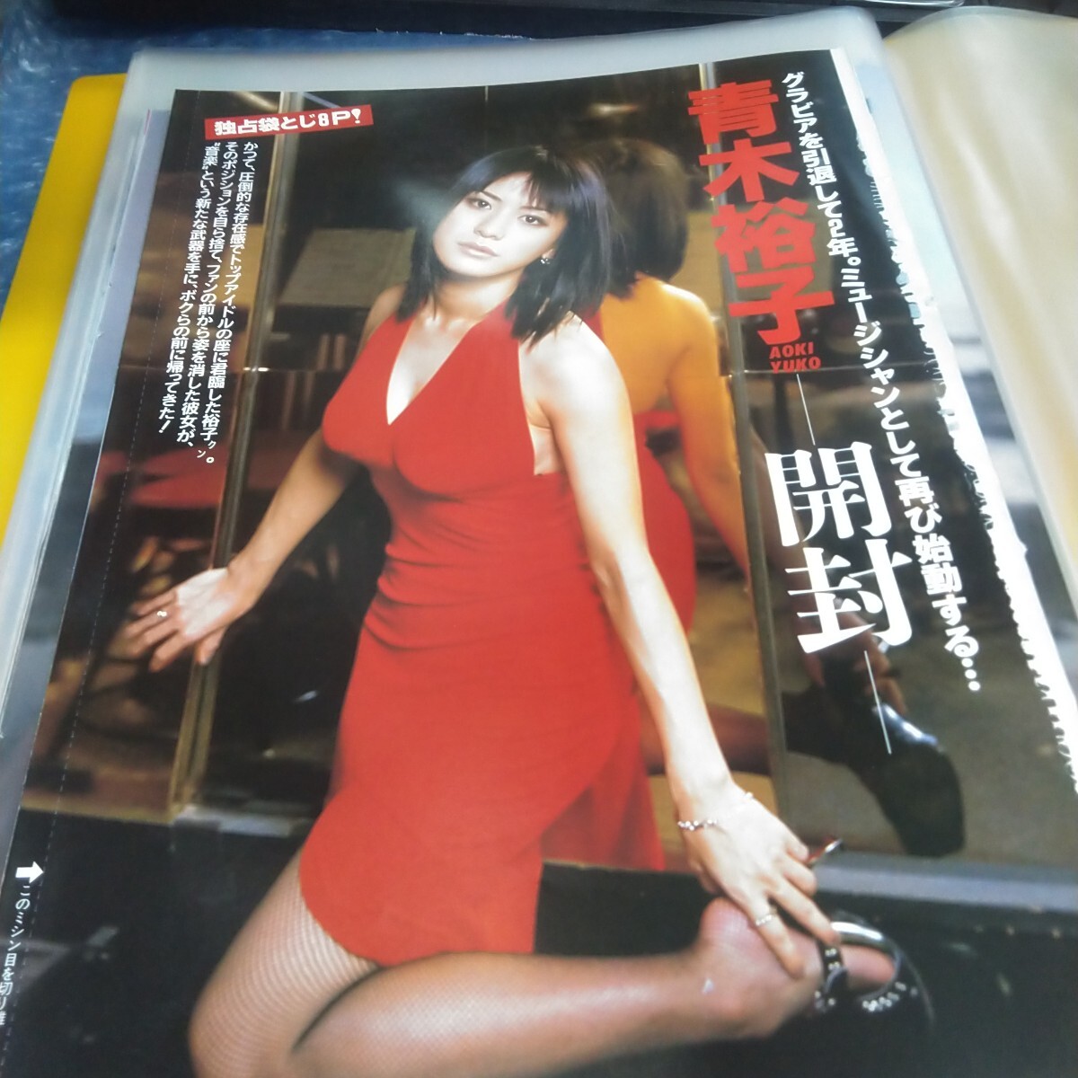 切り抜き　その107　青木裕子　袋とじ開封　8ページ　