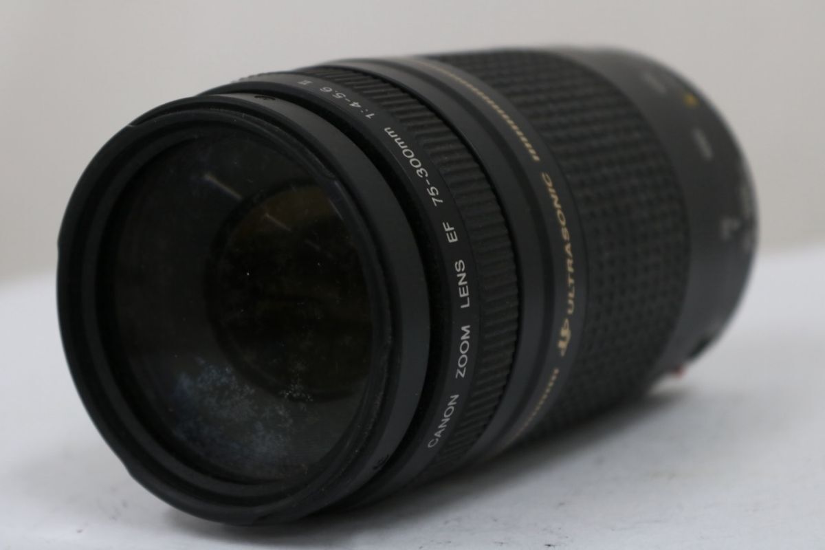 【訳あり品】 キャノン Canon EF 75-300mm F4-5.6 II ULTRASONIC レンズ e9623