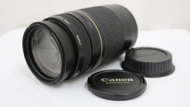 【訳あり品】 キャノン Canon EF 75-300mm F4-5.6 II ULTRASONIC レンズ e9434