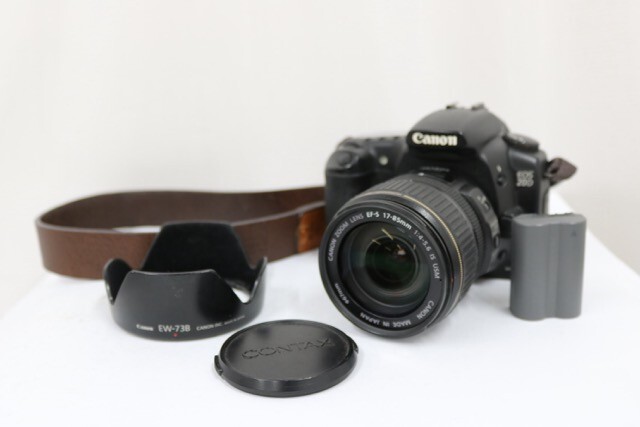 【返品保証】 キャノン Canon EOS 20D EF-S 17-85mm F4-5.6 IS USM バッテリー付き デジタル一眼 e9500