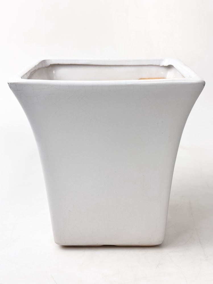 植木鉢 白 盆栽鉢 陶器鉢 園芸 ガーデニング インテリア