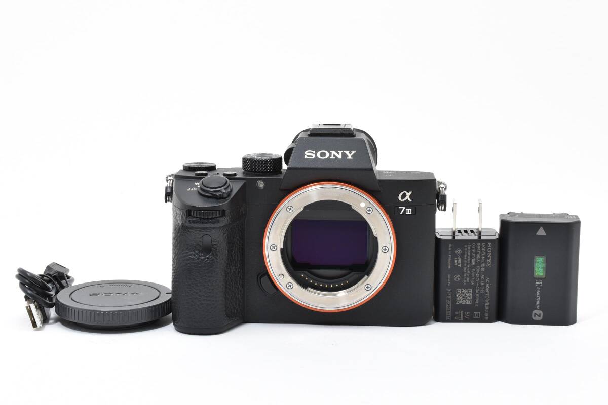 ★極上品★《ショット数3,969回 》ソニー　SONY α7 III ボディ ILCE-7M3★　YM9754＃10