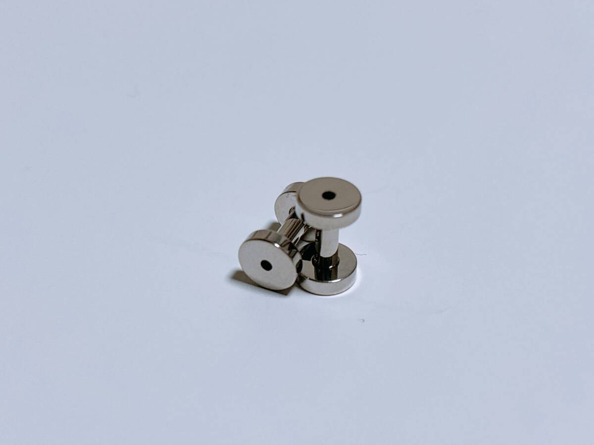 8G　フレッシュトンネル　拡張　ボディピアス　サージカルステンレス　2個セット