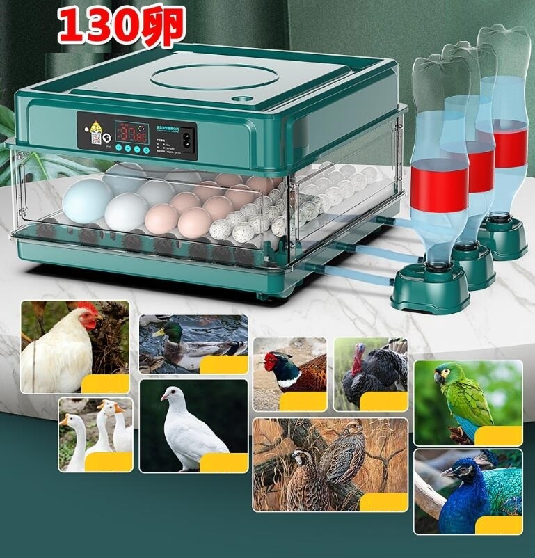 自動インキュベーター 自動孵卵器 孵卵機 自動転卵 自動温度制御 自動給水式 簡単操作 ウズラの卵/鶏/アヒル/ガチョウ/ウズラ/鳥の孵化