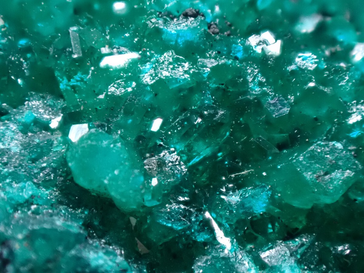 コンゴ産 ダイオプテーズ 翠銅鉱 原石 標本 鉱物