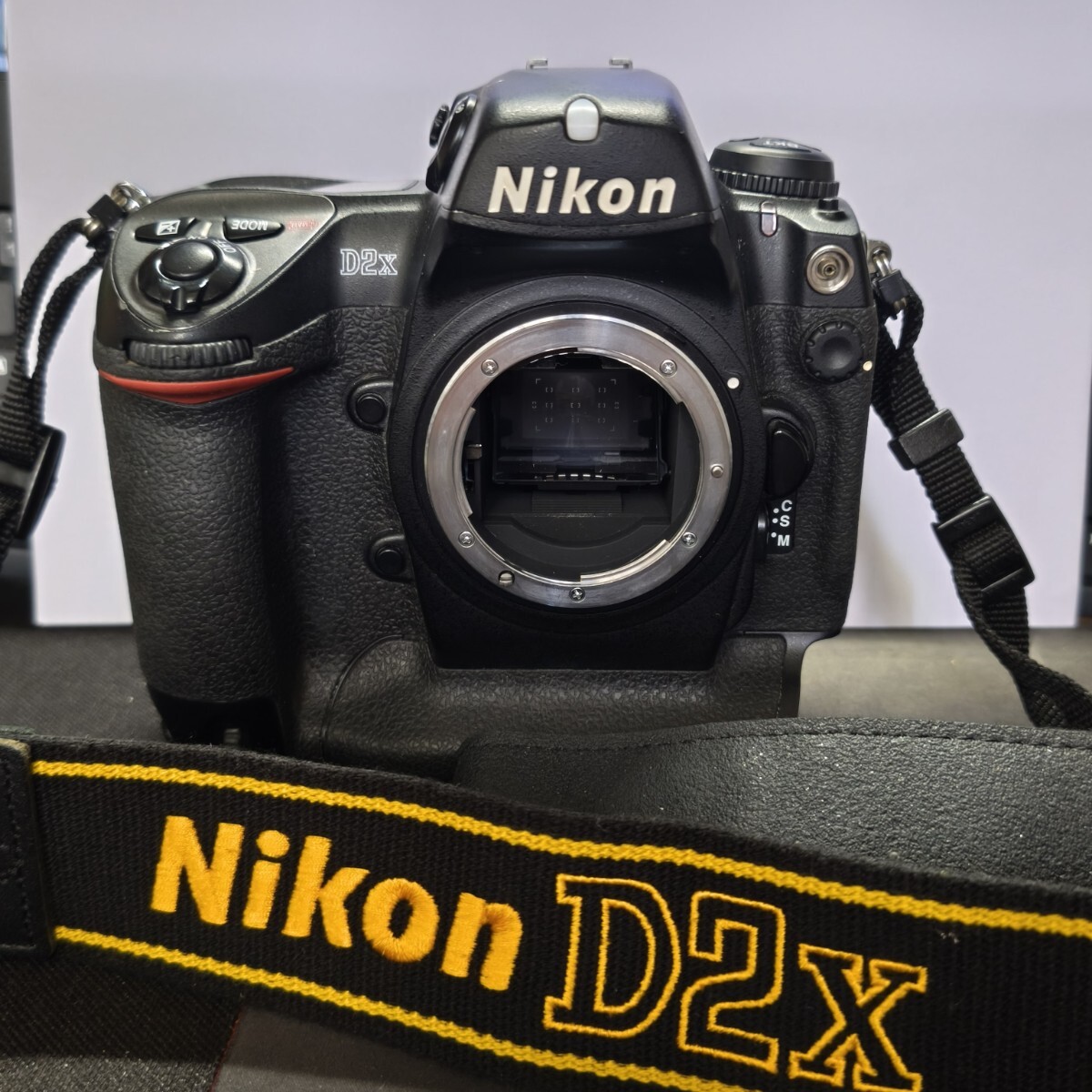 Nikon D2X ボディ デジタル一眼レフカメラ ニコン