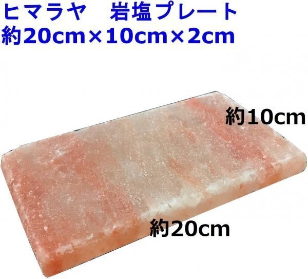 2枚セット マラヤソルト 岩塩プレート 約20cm×10cm×2cm 天然岩塩 遠赤効果 バーベキューや焼肉に　＃01
