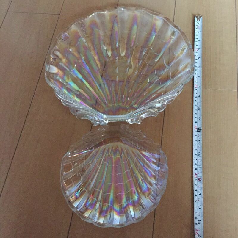 シェル型 プレート皿 大小2枚セット 貝殻 インテリア　透明クリア