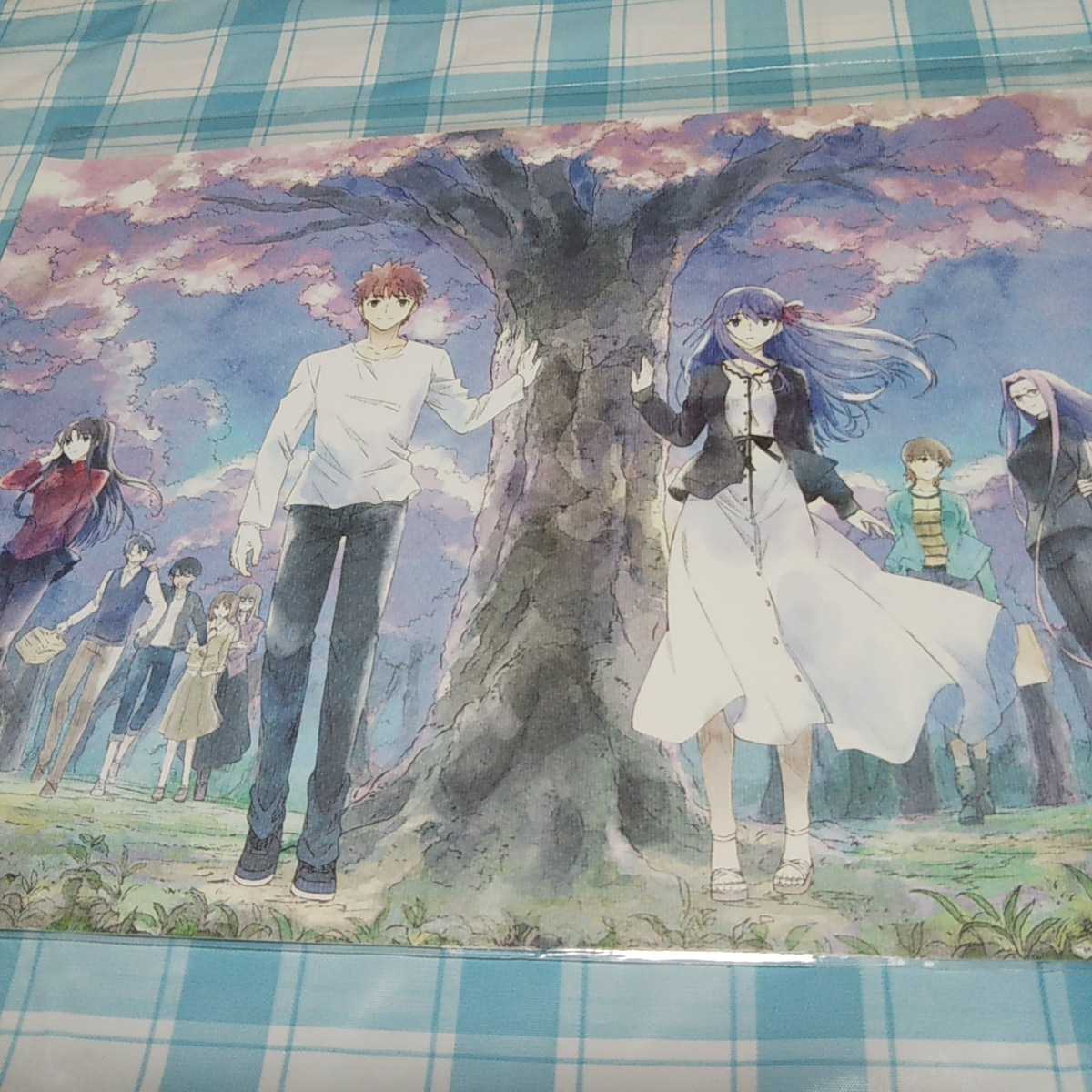劇場版 Fate/stay night Heaven's feel Ⅲ spring song 入場特典 イラストボード 未開封 ビデオマスター版