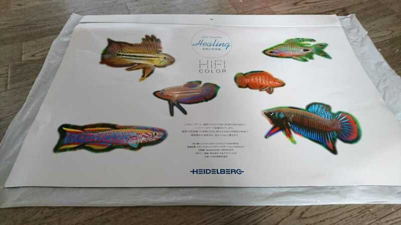 熱帯魚壁掛けカレンダー ハイデルベルグ Speedmaster 2002年