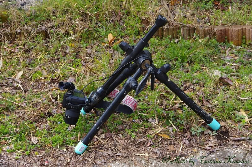 英国製BENBOローアングル三脚、自在なアングル可能で、強度抜群、マクロ撮影