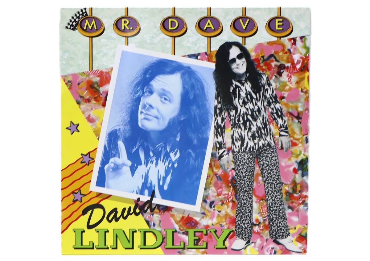 ★回0297 David Lindley デイヴィッド・リンドレー デヴィッド・リンドレー/Mr. Dave ミスター・デイヴ レコード LP盤 アナログ盤 32509081