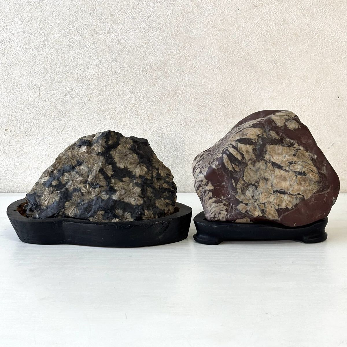 菊花石 2点まとめて 台付 赤石 鑑賞石 自然石 盆石