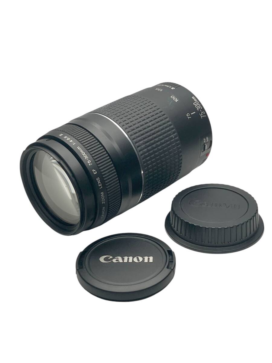 Canon EF 75-300mm F4-5.6 III キャノン ズームレンズ //IS126501