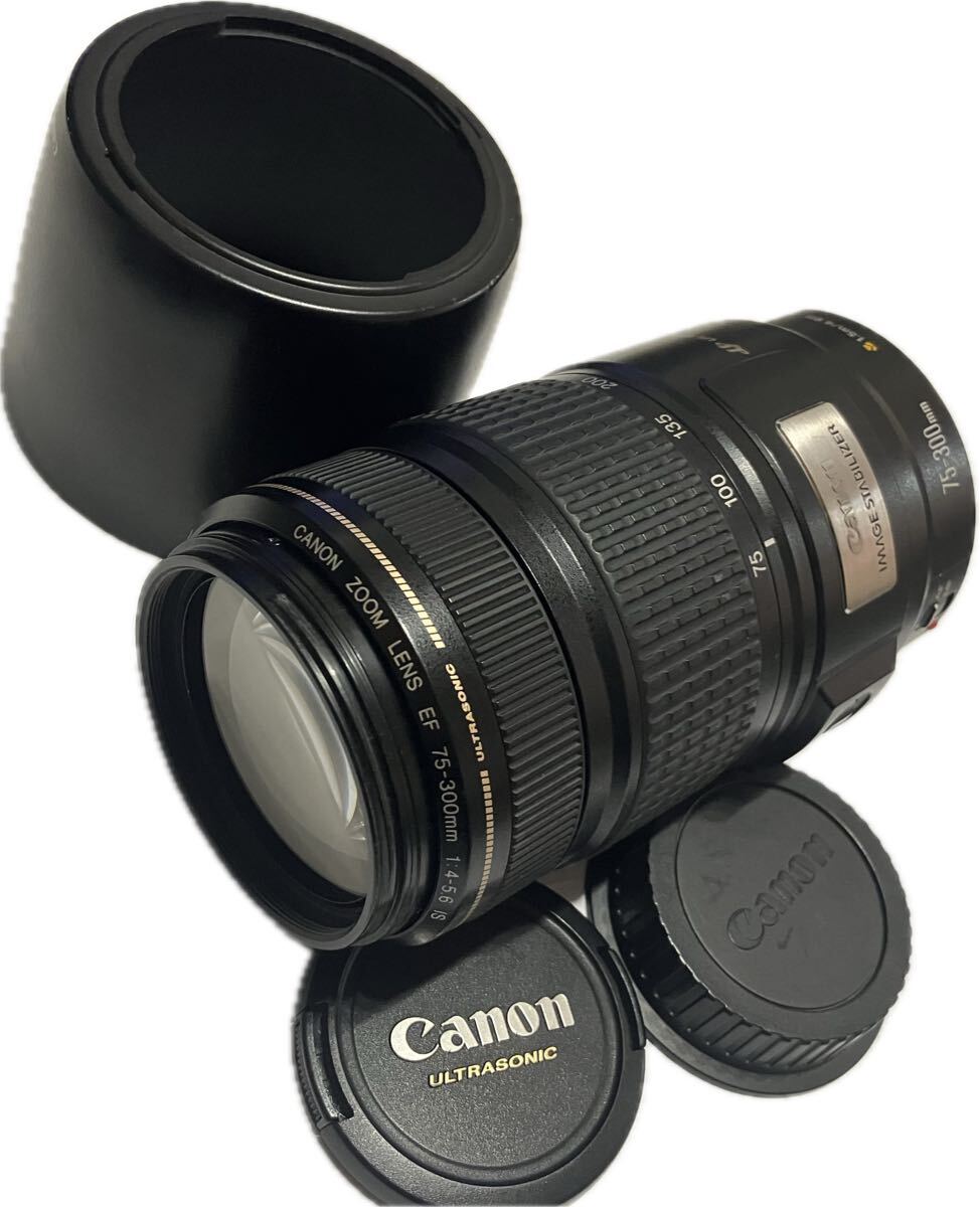 ★極上美品★ CANON キヤノン EF 75-300mm F4-5.6 IS USM #28000099