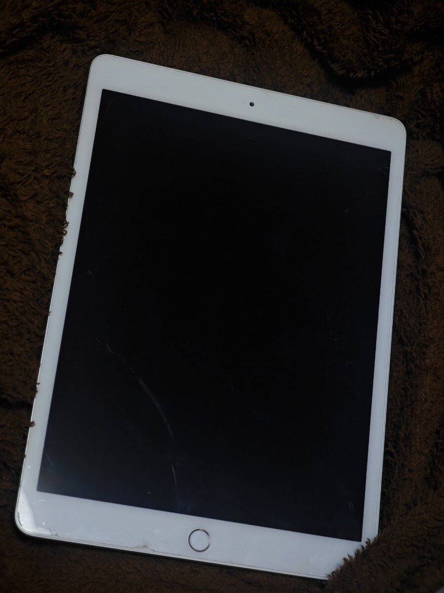 Apple iPad 2019 第7世代 Wi-Fiモデル 並品 32G ケース付き
