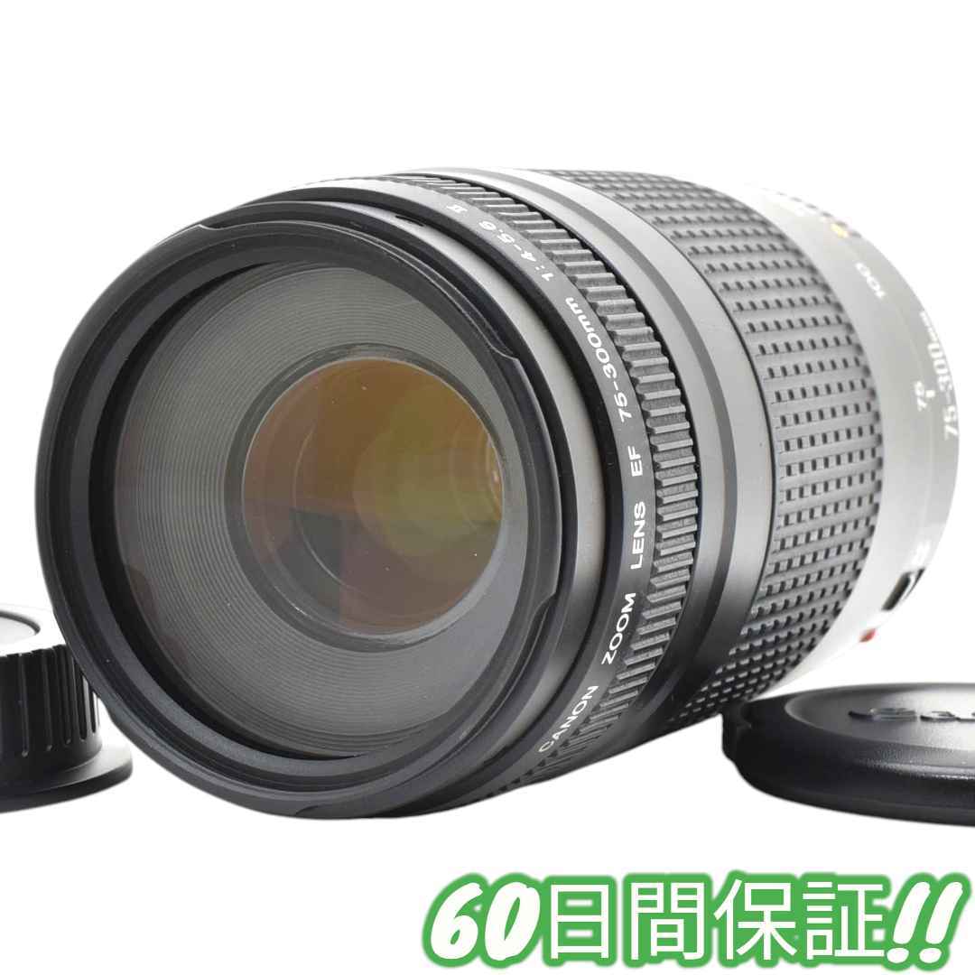 美品 Canon EF 75-300mm F4-5.6 II 超望遠 #0230