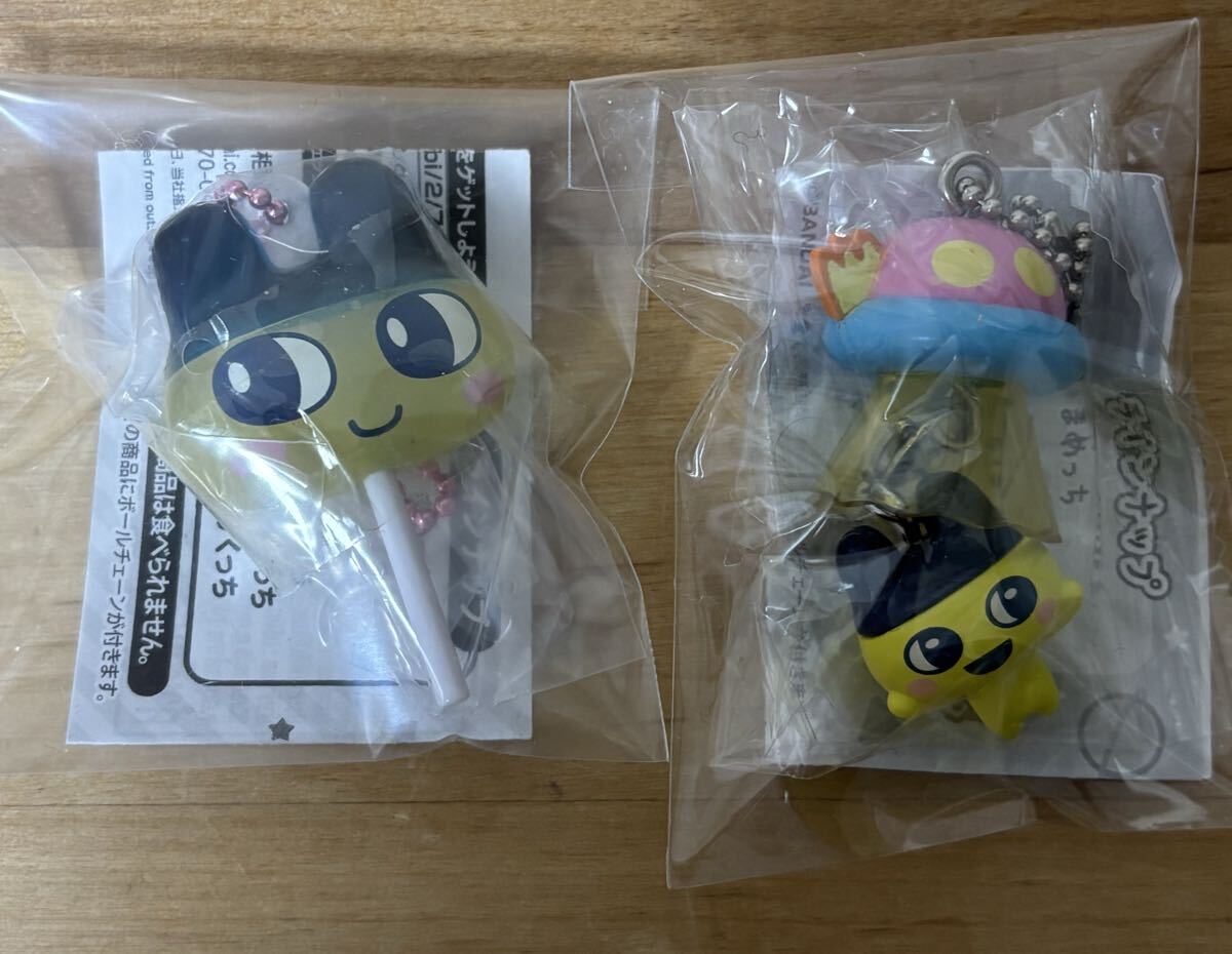 たまごっち UFOスイング　カラフルキャンディチャーム　まめっち　2点セット ガチャガチャ ガチャ キーホルダー