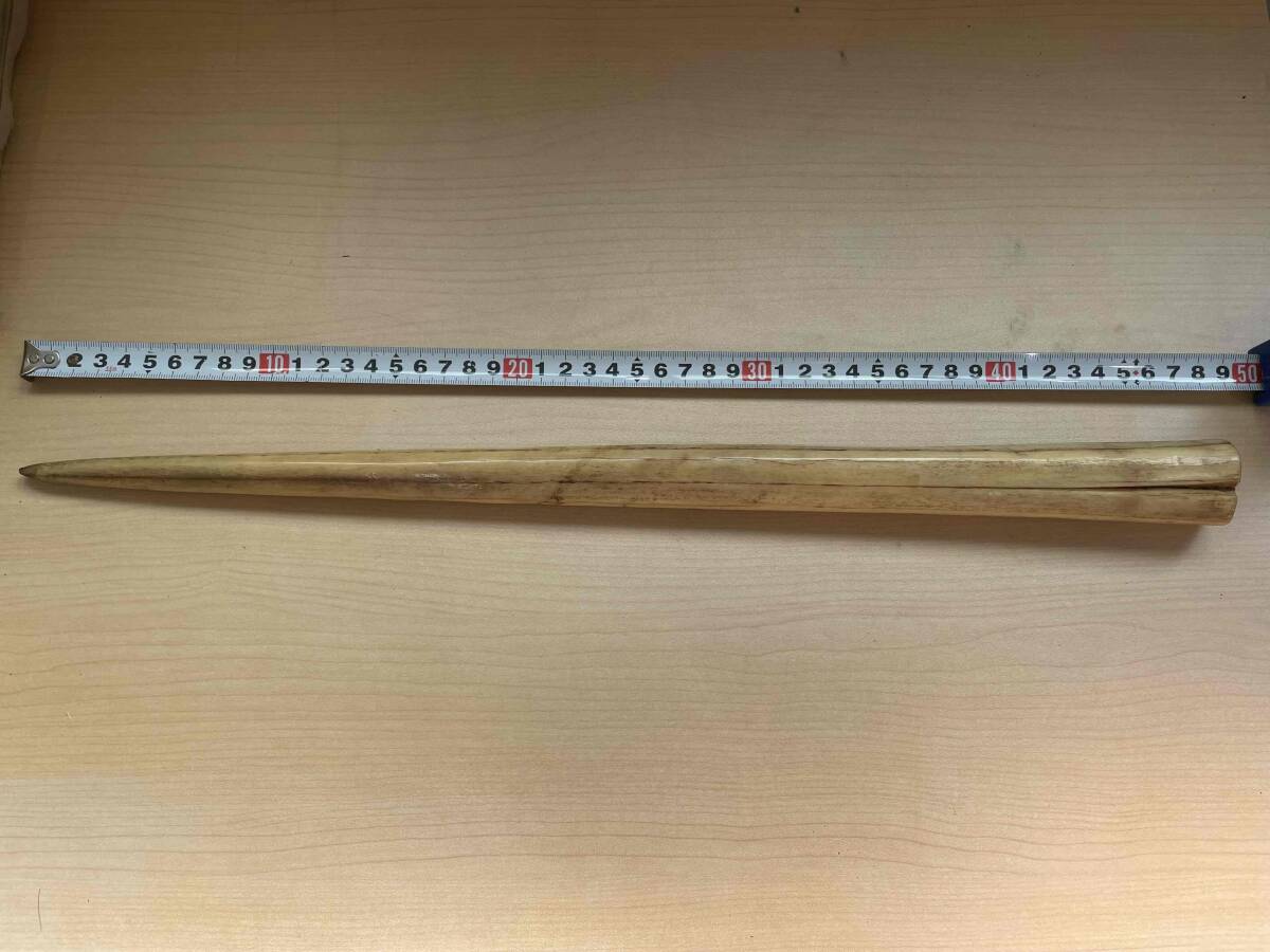 角　牙　イッカク　根付材　コレクション　