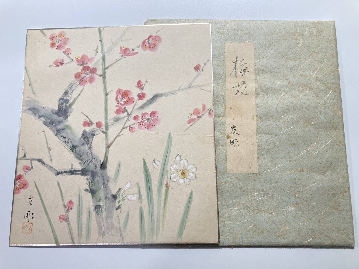 肉筆 梅花図 色紙｜タトウ付 約24cm 日本画 花図 梅 水仙 春 床の間 茶道 掛け替え