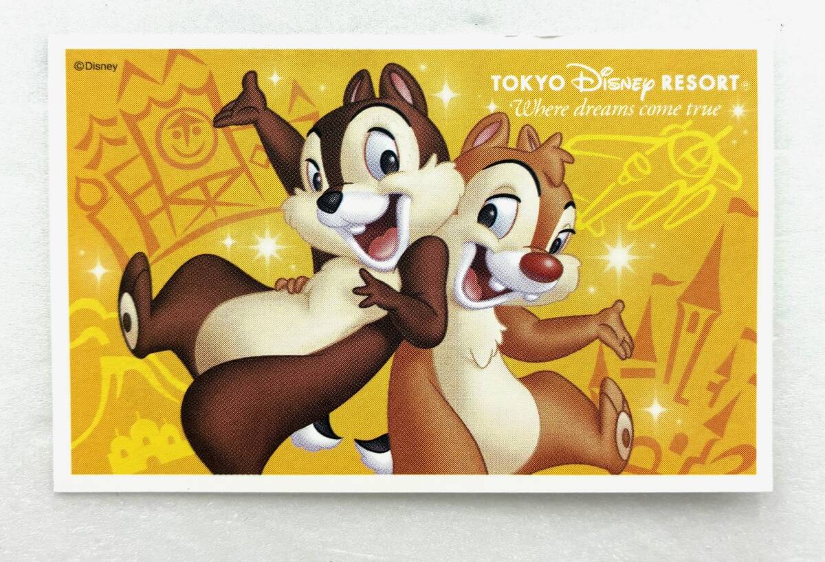 【大黒屋】東京ディズニーリゾート 株主用パスポート 有効期限：2026.8.31まで 【送料無料】