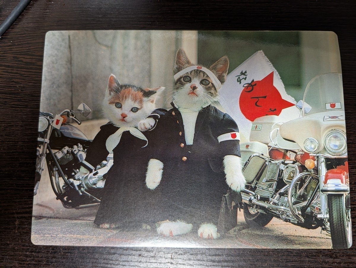 なめ猫 なめんなよ 下敷き2枚　昭和レトロ