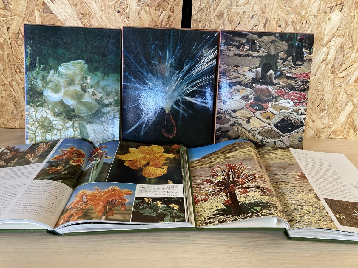 朝日百科 世界の植物1巻〜12巻セット 図録 植物 【11712】(4) ☆