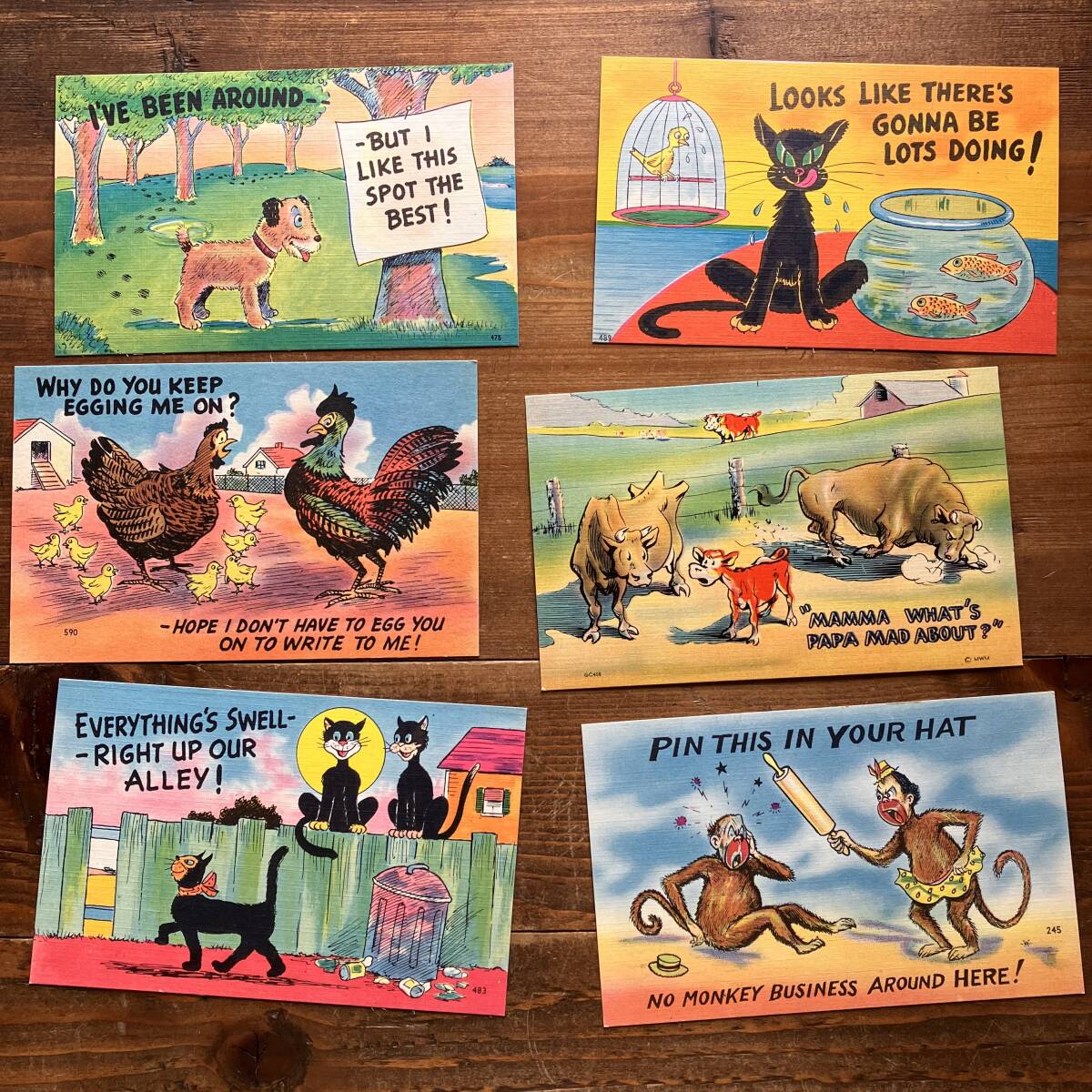 アメリカの葉書6枚／1950s／VINTAGE／未使用／ユーモア／アメリカンジョーク②