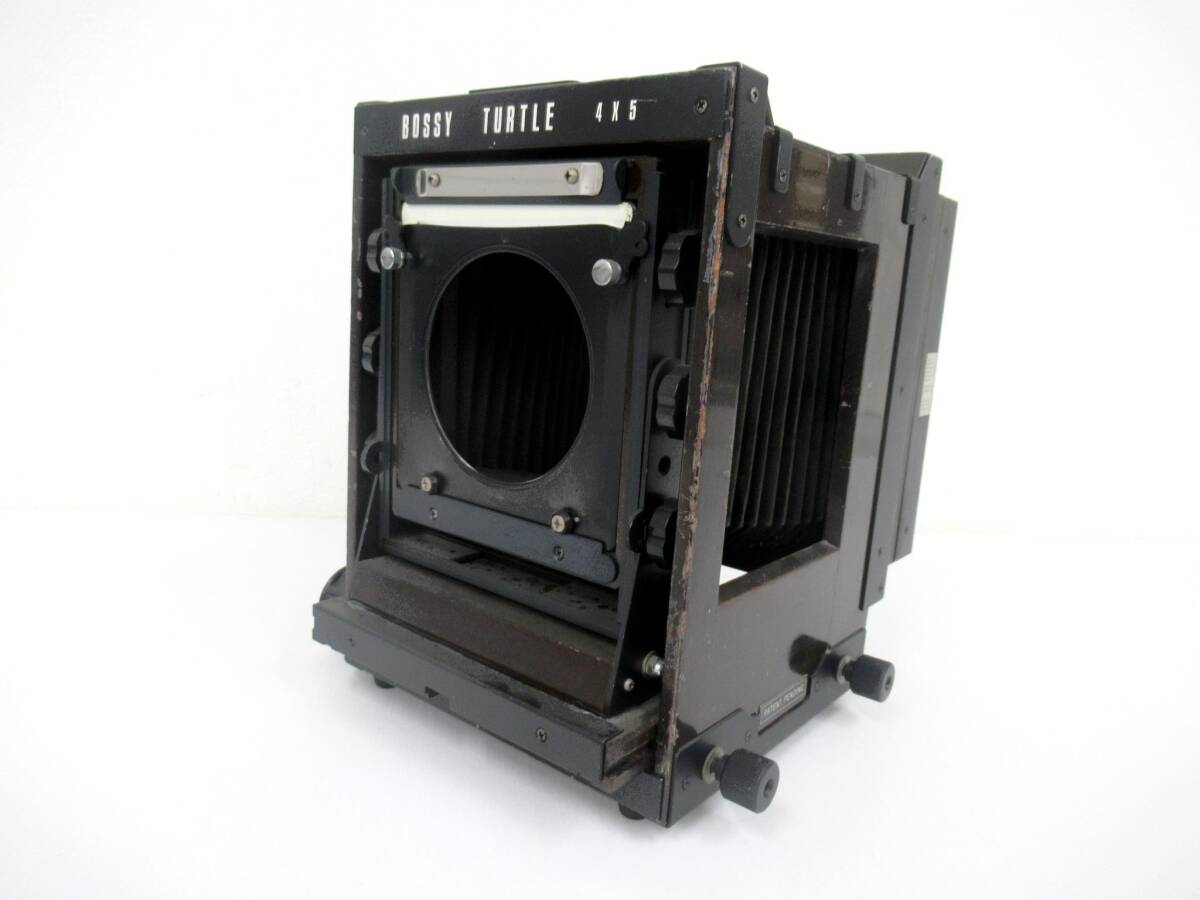 【YAYOI SEIKO】卯⑥8//BOSSY TURTLE 4×5