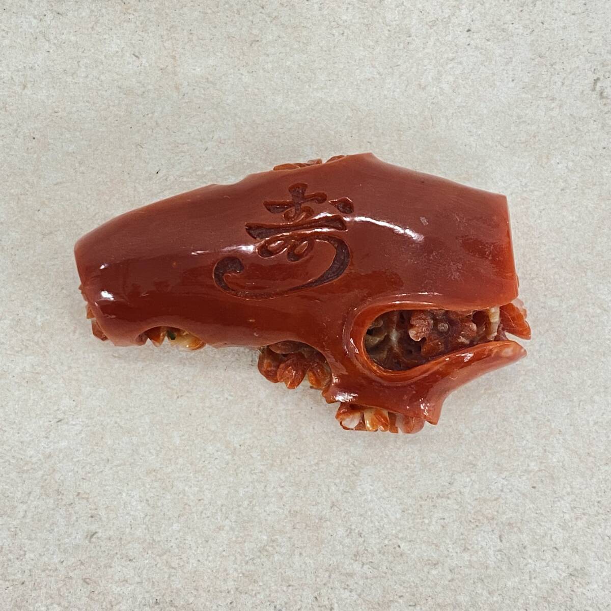 『KT6』赤珊瑚　ルース　約27.2ｇ　帯どめ　和装小物　寿　サンゴ　コーラル　現状品