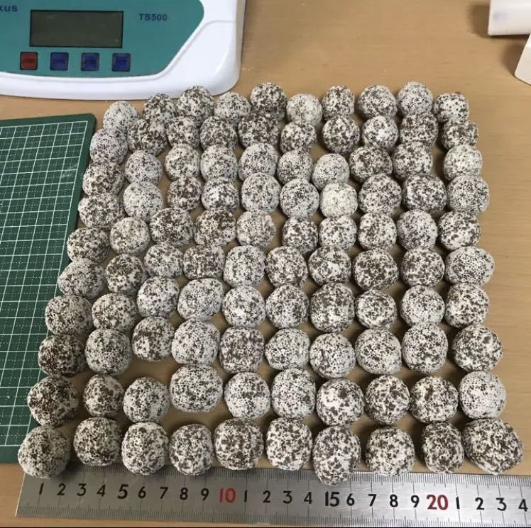 ろ材、濾過材ボールろ材 納豆菌入り多孔質パワーボール1L新品送料込み　アクアリウム 金魚 熱帯魚 水草 メダカ　淡水魚　アロワナダトニオ