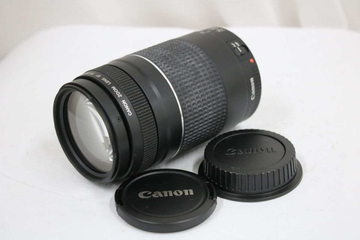 【返品保証】 キャノン Canon EF 75-300mm F4-5.6 III 前後キャップ付き レンズ e11732