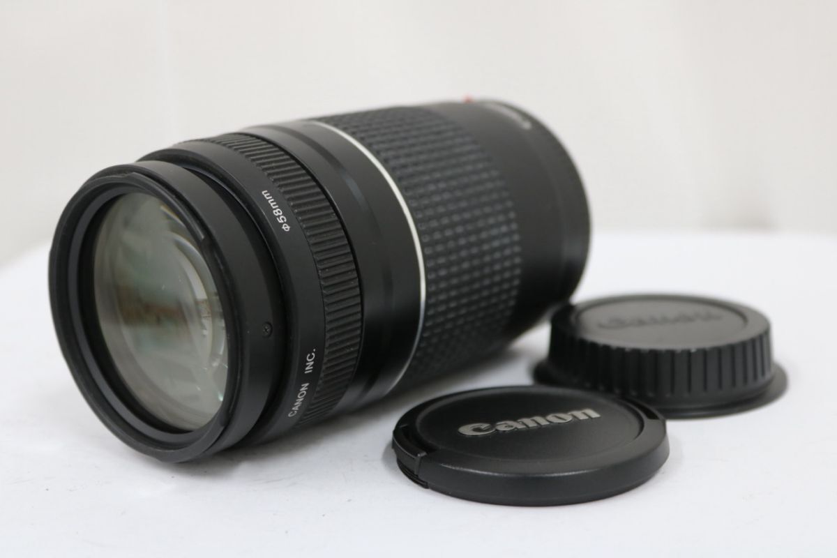 【返品保証】 キャノン Canon EF 75-300mm F4-5.6 III レンズ e11951