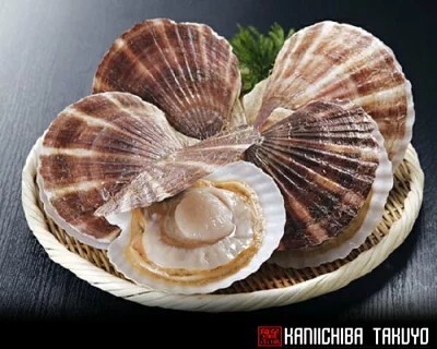 【釧路発】北海道オホーツク野付産　殻付活帆立　４年貝　２kg前後　（５～１0枚入）　ホタテヘラサービス　貝ほたて　２月値下げ