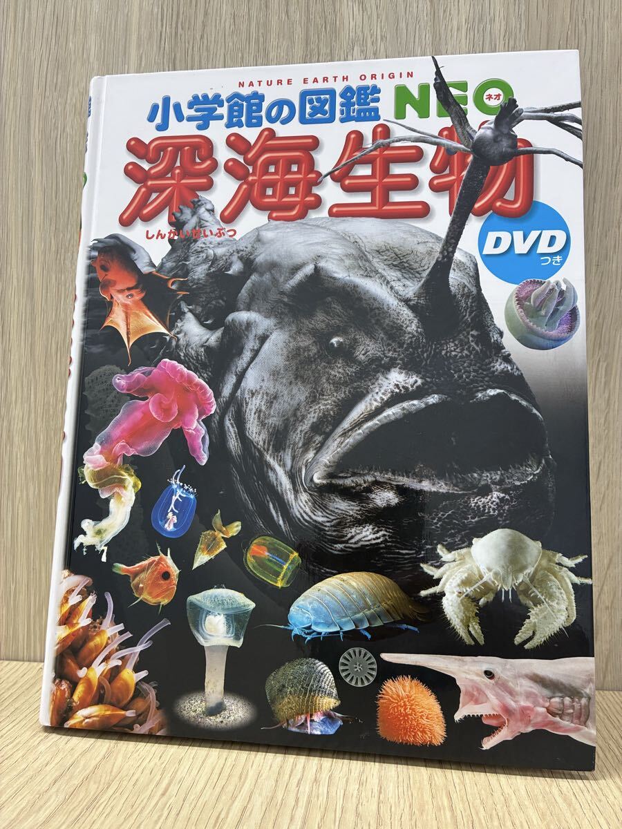 小学館の図鑑NEO 深海生物 DVDなし