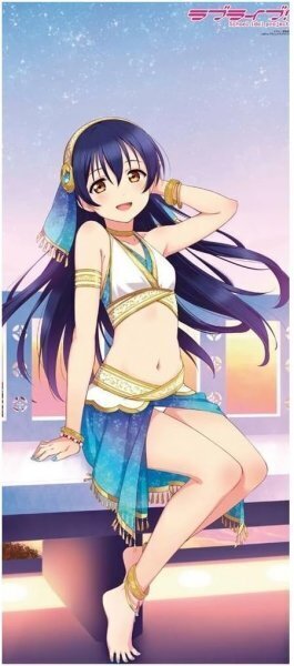 アスキー・メディアワークス/KADOKAWA 園田海未 シャワータペストリー 「ラブライブ!」 電撃G`s Festival Vol.40 2015年04月号付録