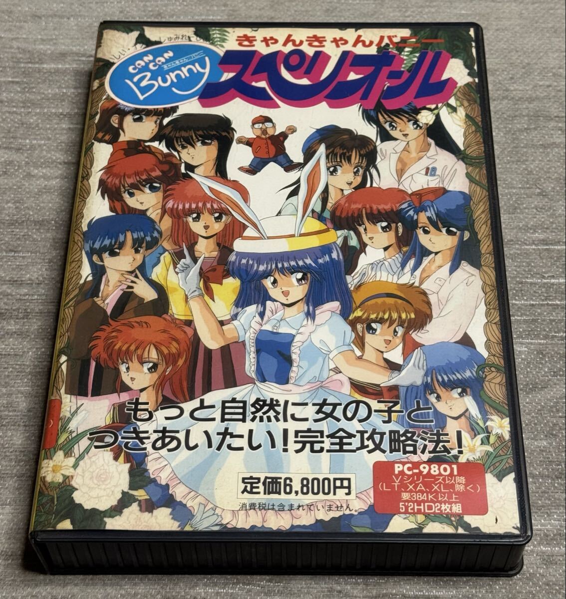 きゃんきゃんバニー プルミエール/PC-9801/5インチ