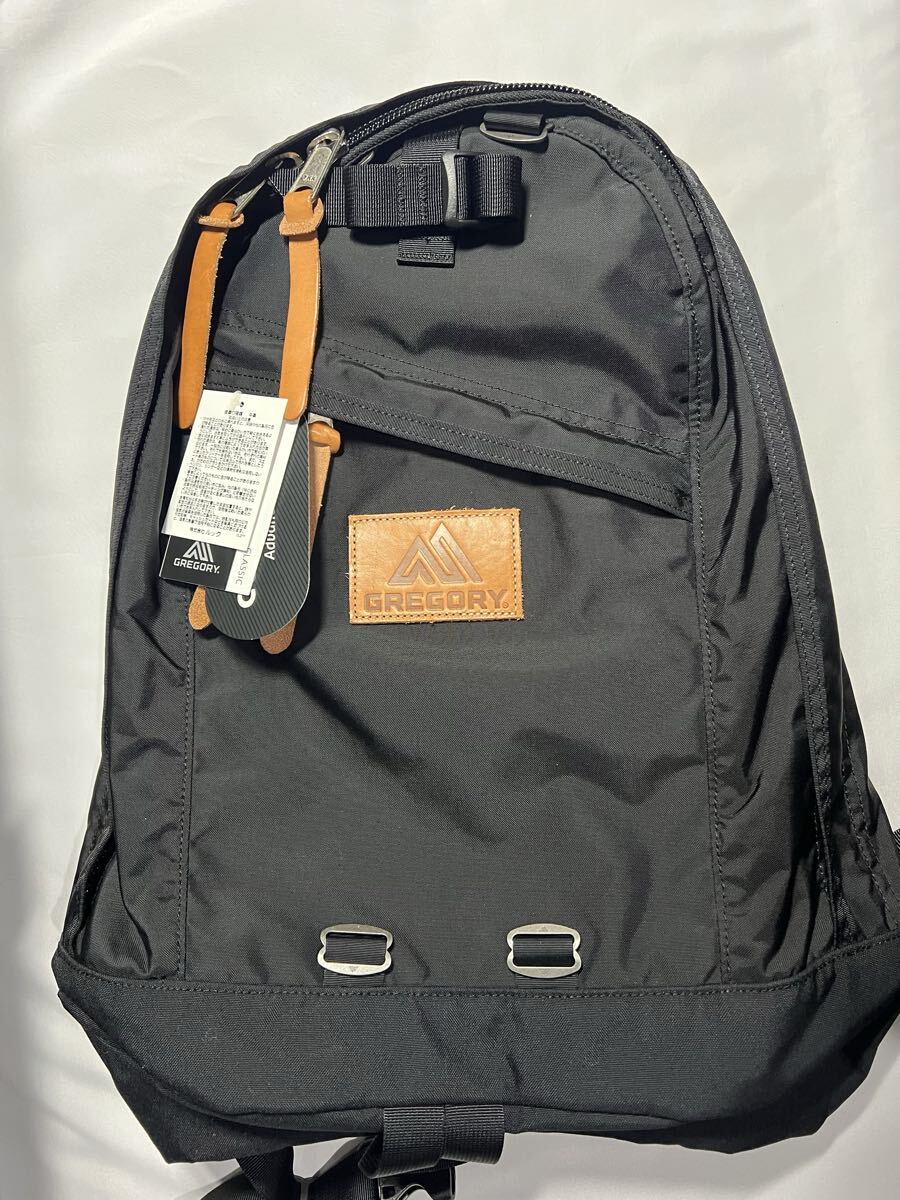 デッドストック　GREGORY×IL BISONTE デイパック 26L V1