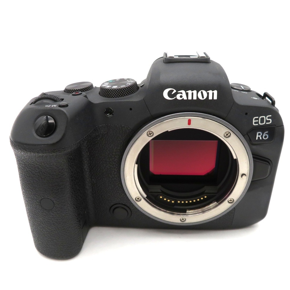 Canon キヤノン EOS R6 ボディ ＋ コントローリングマウントアダプター EF-EOS R ミラーレスカメラ 動作確認済