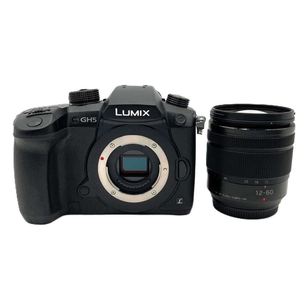 1円〜 Panasonic パナソニック DC-GH5M 標準ズームレンズキット ミラーレスカメラ 動作確認済