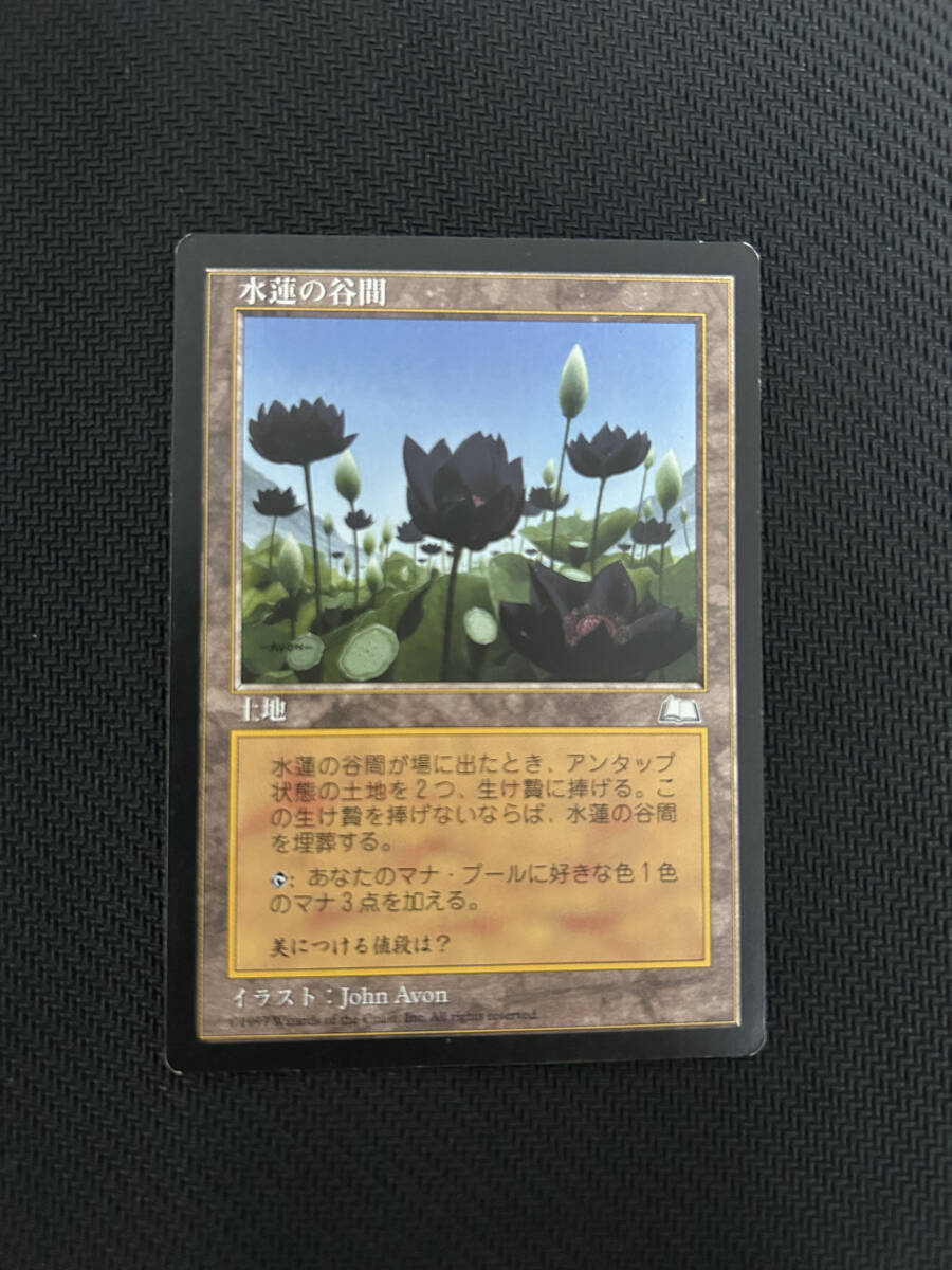 MTG　水蓮の谷間　日本語版　1枚まで