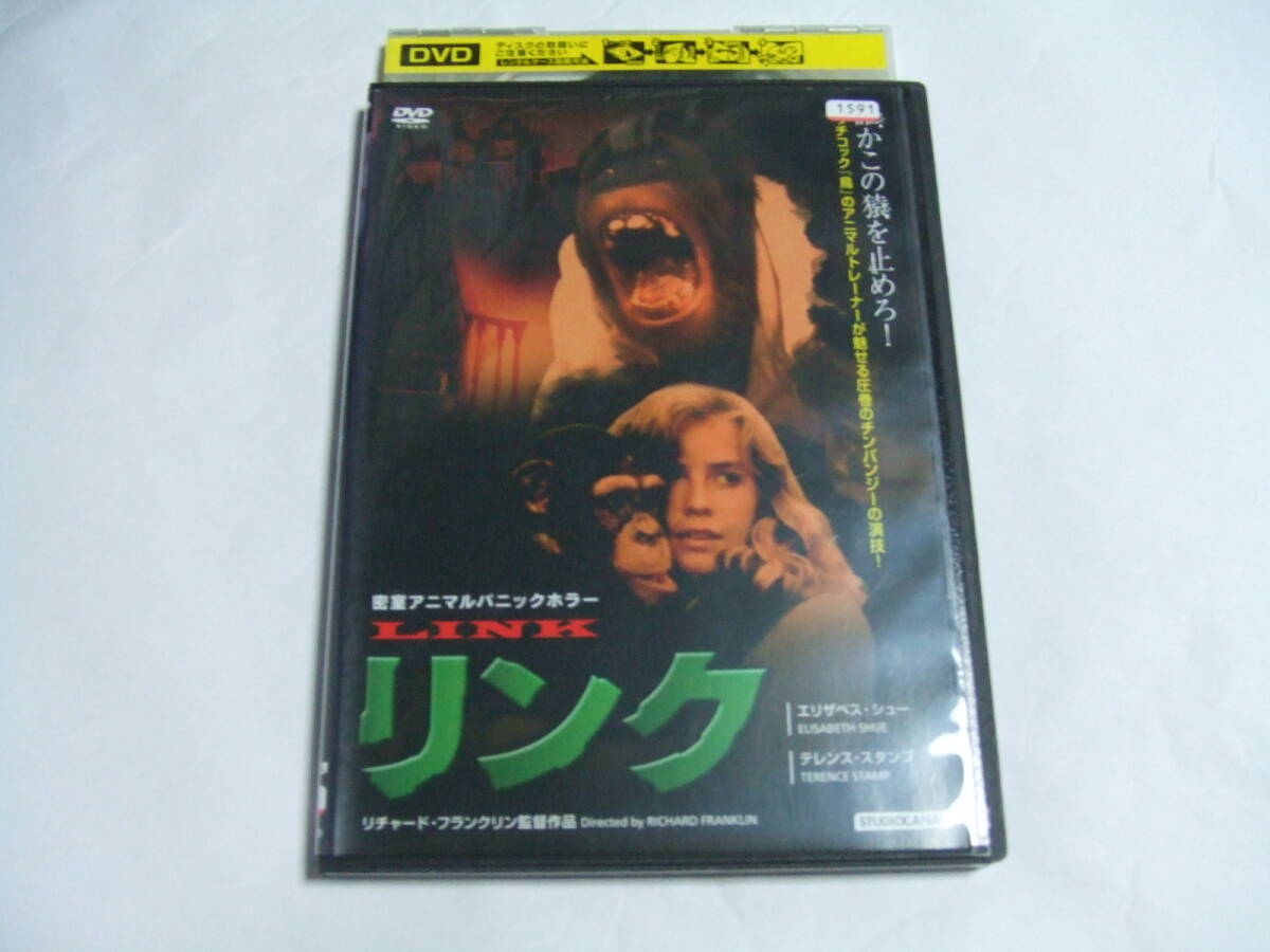 DVD リンク レンタル品 リチャード・フランクリン