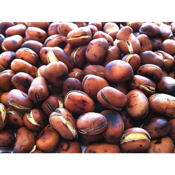 はじき豆 (煎りそら豆) 1000g チャック袋 500gX2袋 九州工場製造品 黒田屋 ※本製品は大変硬い食感の豆菓子です