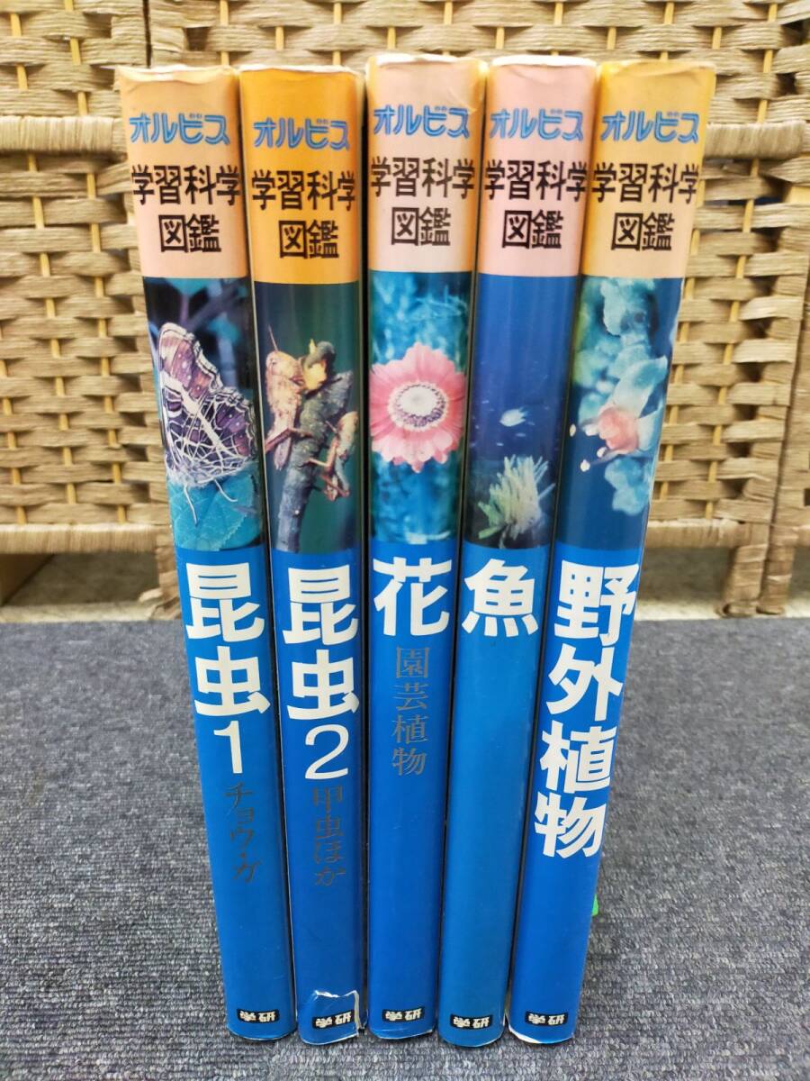 SET-20260410-01 オルビス 学習科学図鑑 5冊セット 花 野外植物 魚 昆虫1 昆虫2 図鑑まとめ売り(0)
