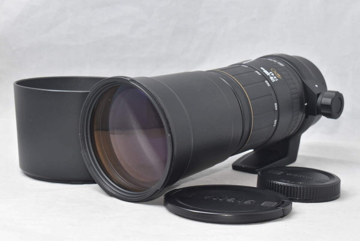 SIGMA シグマ APO 170-500mm F5-6.3 キヤノン用