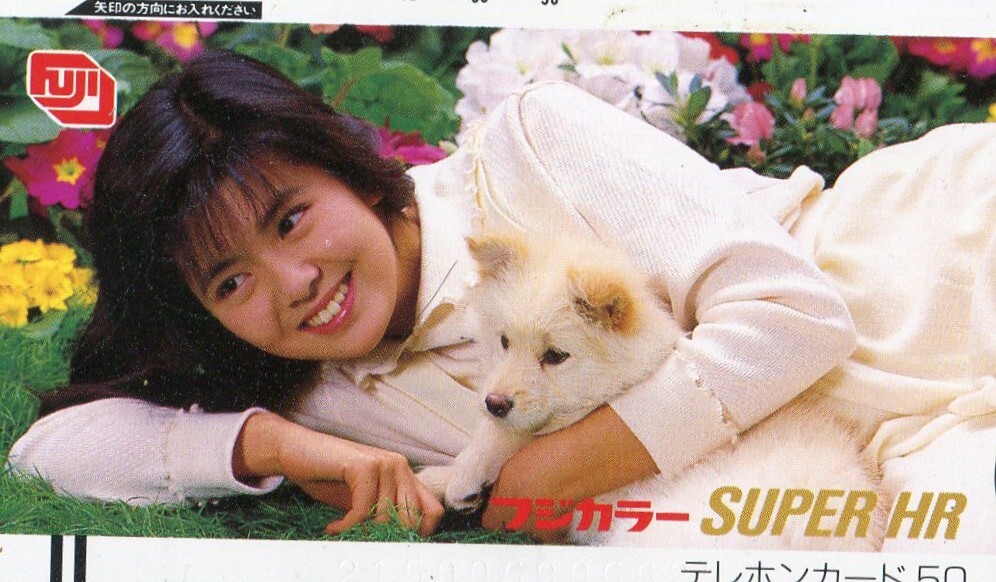 テレフォンカード　タレントさん１