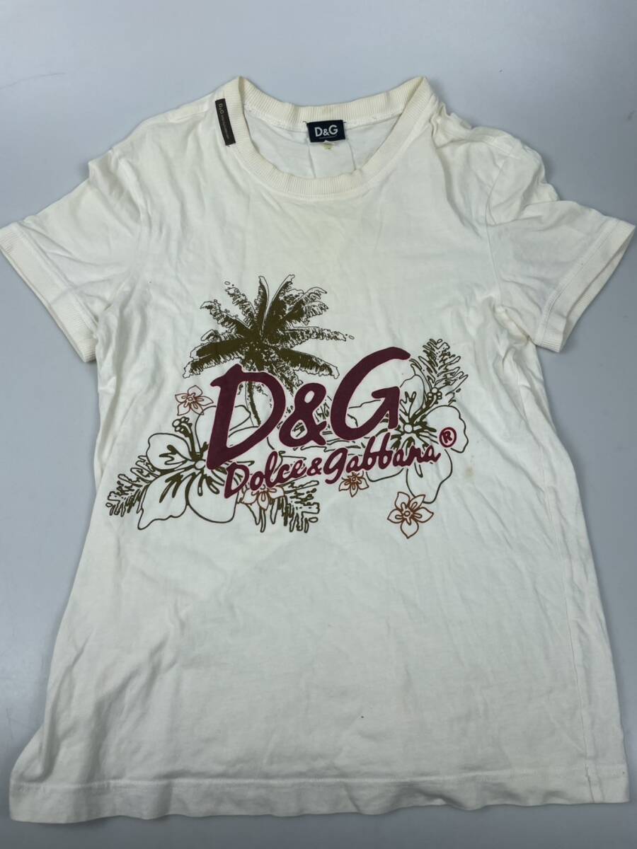 D&G Dolce & Gabbana ドルチェ＆ガッバーナ パームプリント 半袖Tシャツ コットン M サイズ