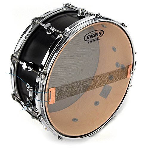 13" EVANS エヴァンス ドラムヘッド スネアサイド300 S13H30 / Snare Side 300 (3mil) 1